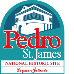 New Pedro Castle Logo
